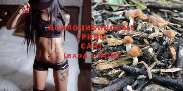 бошки Новозыбков
