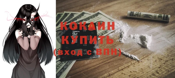 бошки Новозыбков