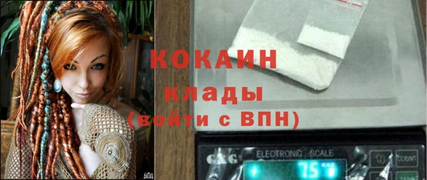бошки Новозыбков